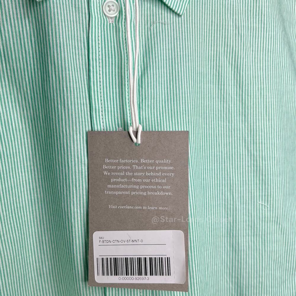 Everlane Oversized Striped Button Up Mint Green Cotton Oxford Preppy Minimalist - Picture 6 of 9